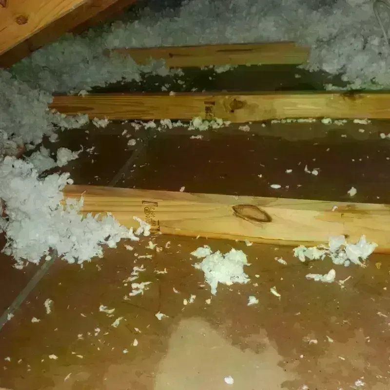 Attic Water Damage in Kings County, CA